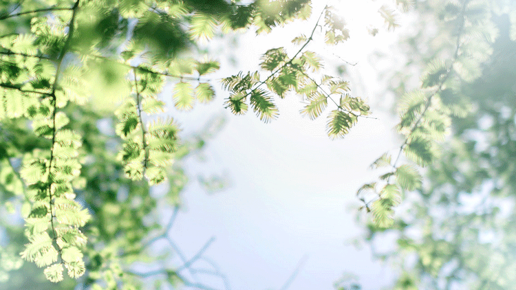 1588644886270649.png 微信圖片_20200505101019.png