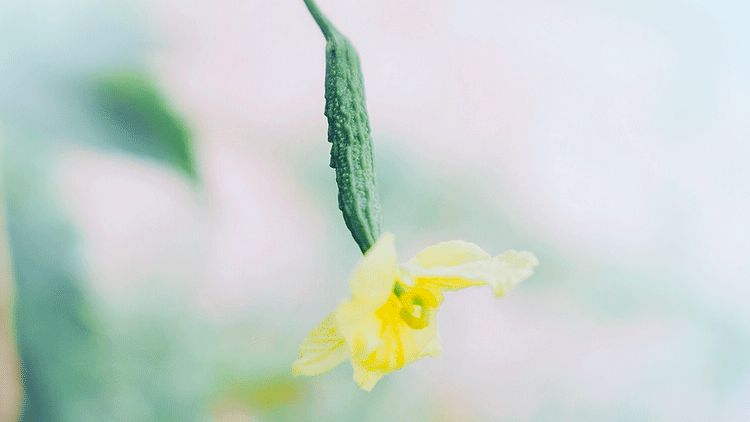 1588644987124142.jpg 微信圖片_20200505101046.jpg